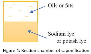 Rection chamber of saponification